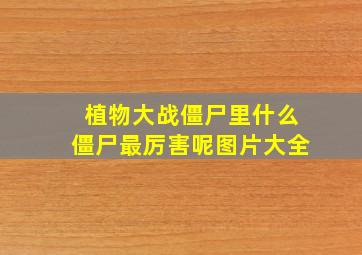 植物大战僵尸里什么僵尸最厉害呢图片大全