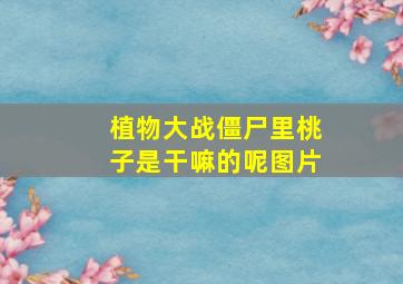 植物大战僵尸里桃子是干嘛的呢图片