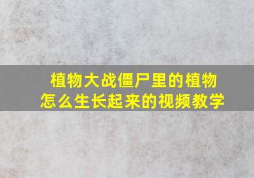 植物大战僵尸里的植物怎么生长起来的视频教学