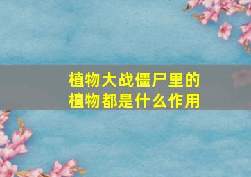 植物大战僵尸里的植物都是什么作用