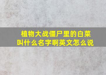 植物大战僵尸里的白菜叫什么名字啊英文怎么说