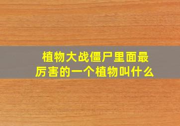 植物大战僵尸里面最厉害的一个植物叫什么