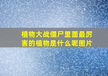 植物大战僵尸里面最厉害的植物是什么呢图片