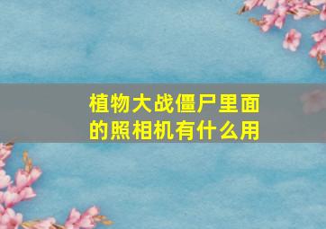 植物大战僵尸里面的照相机有什么用