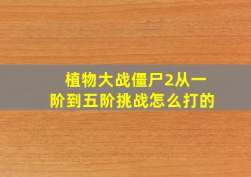 植物大战僵尸2从一阶到五阶挑战怎么打的