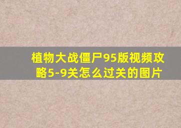 植物大战僵尸95版视频攻略5-9关怎么过关的图片