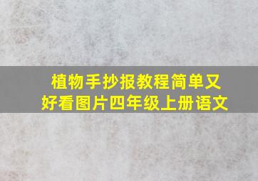 植物手抄报教程简单又好看图片四年级上册语文