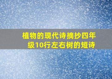 植物的现代诗摘抄四年级10行左右树的短诗