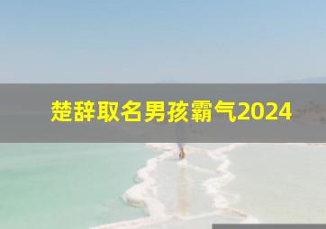 楚辞取名男孩霸气2024