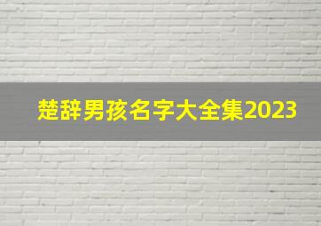 楚辞男孩名字大全集2023