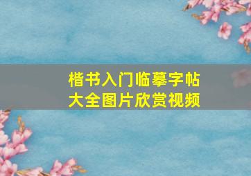 楷书入门临摹字帖大全图片欣赏视频