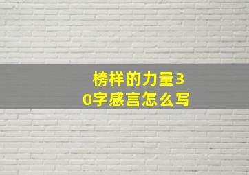 榜样的力量30字感言怎么写