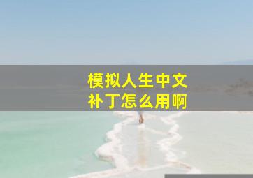 模拟人生中文补丁怎么用啊