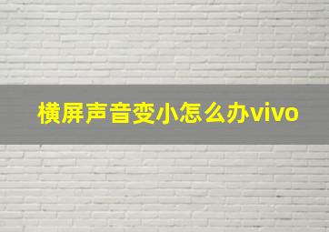 横屏声音变小怎么办vivo