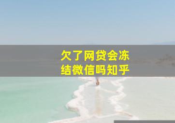 欠了网贷会冻结微信吗知乎