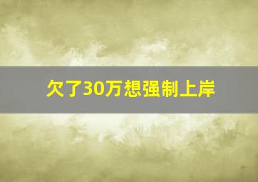 欠了30万想强制上岸