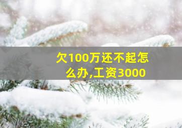 欠100万还不起怎么办,工资3000