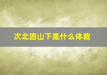 次北固山下是什么体裁