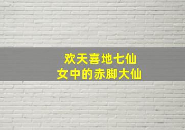 欢天喜地七仙女中的赤脚大仙