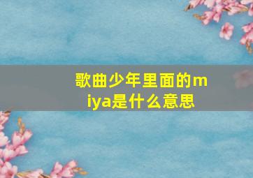 歌曲少年里面的miya是什么意思