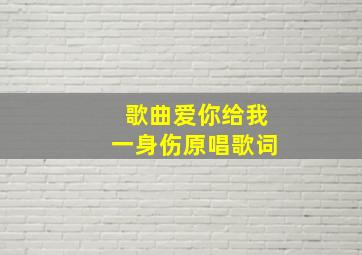 歌曲爱你给我一身伤原唱歌词