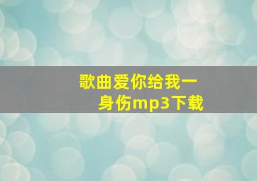 歌曲爱你给我一身伤mp3下载