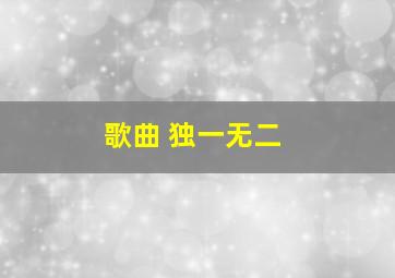 歌曲 独一无二