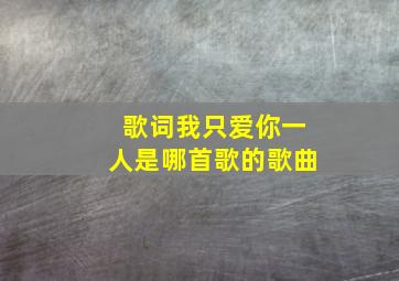 歌词我只爱你一人是哪首歌的歌曲