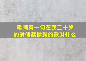 歌词有一句在我二十岁的时候蔡健雅的歌叫什么