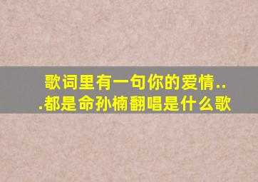 歌词里有一句你的爱情...都是命孙楠翻唱是什么歌