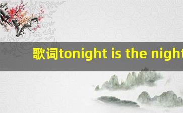 歌词tonight is the night