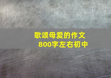 歌颂母爱的作文800字左右初中