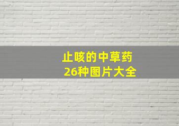 止咳的中草药26种图片大全