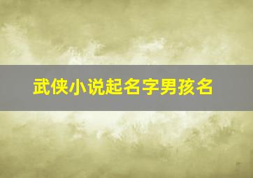 武侠小说起名字男孩名