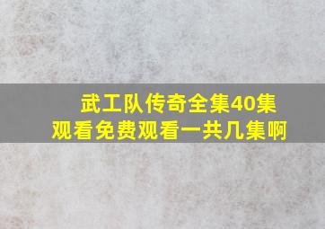 武工队传奇全集40集观看免费观看一共几集啊