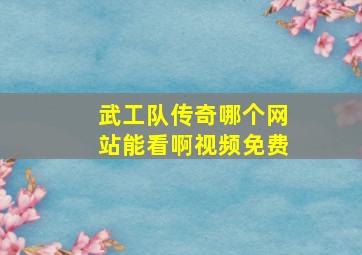 武工队传奇哪个网站能看啊视频免费