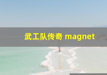 武工队传奇 magnet