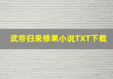 武帝归来修果小说TXT下载