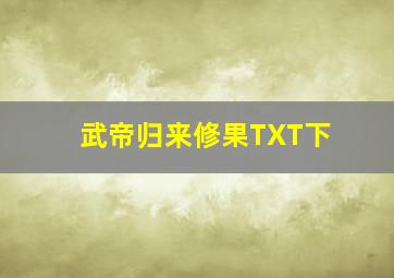 武帝归来修果TXT下