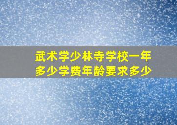 武术学少林寺学校一年多少学费年龄要求多少