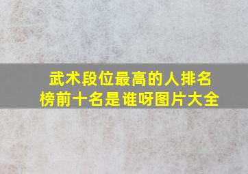 武术段位最高的人排名榜前十名是谁呀图片大全