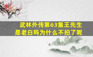 武林外传第63集王先生是老白吗为什么不拍了呢