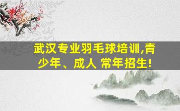 武汉专业羽毛球培训,青少年、成人 常年招生!