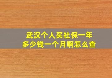 武汉个人买社保一年多少钱一个月啊怎么查