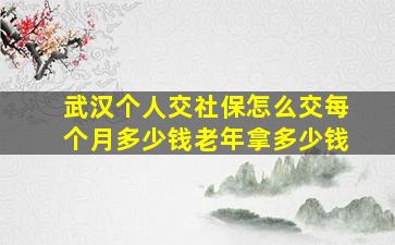 武汉个人交社保怎么交每个月多少钱老年拿多少钱