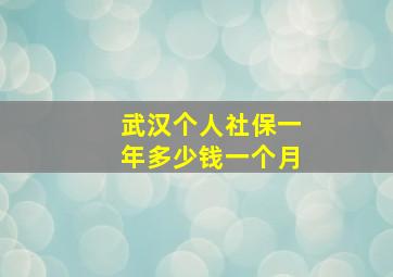 武汉个人社保一年多少钱一个月