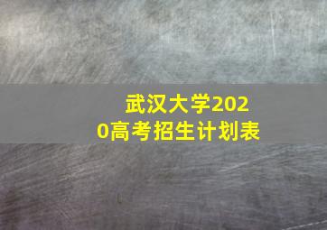 武汉大学2020高考招生计划表