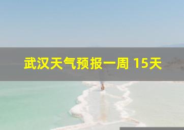 武汉天气预报一周 15天