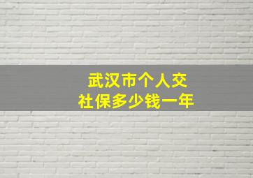 武汉市个人交社保多少钱一年