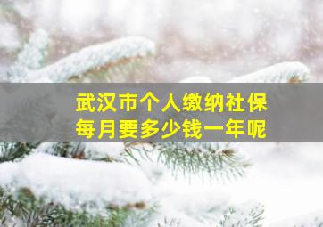 武汉市个人缴纳社保每月要多少钱一年呢